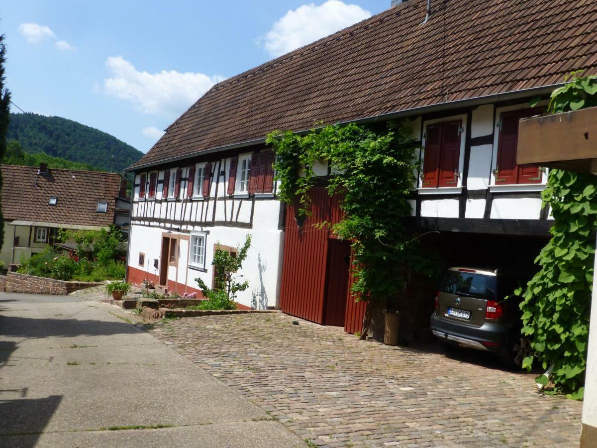 Feriengaleriewohnung Im Denkmal Stilvoll-Komfortabel Baubiologisch Erlenbach (Rhineland-Palatinate) Exterior foto